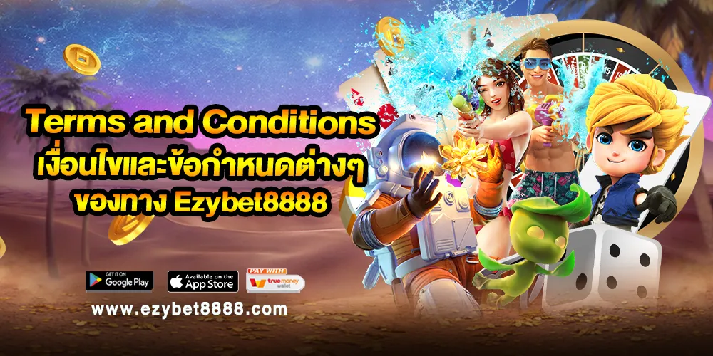 Terms and Conditions